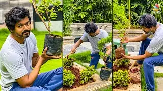 😍Thalapathy Vijay Accepts Mahesh Babu Challenge | Green India, Master, Vijay Sethupathi | Tamil News