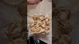 На дачу готов! 