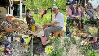 Sarımsak 🧄 temizliği bahçeden biber 🫑 bamya  topladık öğlen yemeği