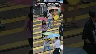 МОЖНО опоздать на РАБОТУ из-за погоды! 