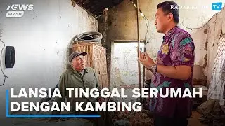 Miris! Masih Ada Lansia di Kota Kediri yang Tinggal Serumah dengan Kambing