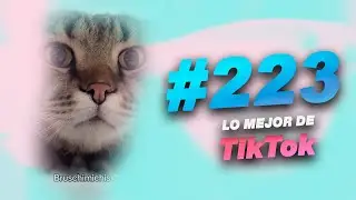 Lo MEJOR de PABLO BRUSCHI en TIKTOK 