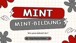 MINT Bildung