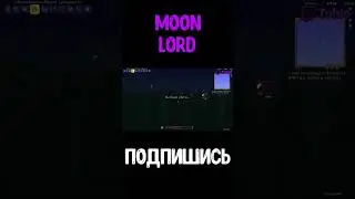 terraria moon lord 6 