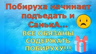 Деревенский дневник очень многодетной мамы \ ВСЕ ОБЯЗАНЫ СОДЕРЖАТЬ ПОБИРУХУ! \ Обзор Влогов