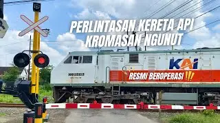 AKHIRNYA AKTIF‼️Perlintasan Kereta Api JPL 237 Kromasan Ngunut Tulungagung | Palang Jenis Multec TC
