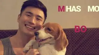 IMStories: Meet Sam's Furry Best Friend - BO