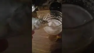 таранка и пиво