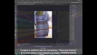 Какого цвета платье? Разоблачение!
