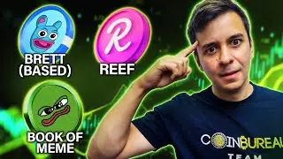 BASED BRETT, BOOK OF MEME, REEF PRICE ANALYSIS!!