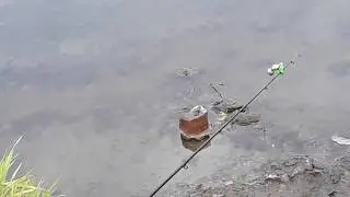 Ускатский и Канашинский