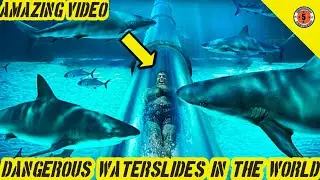 Scariest Water Slides In The World // Fantastic Five //Amazing Video // Water slides