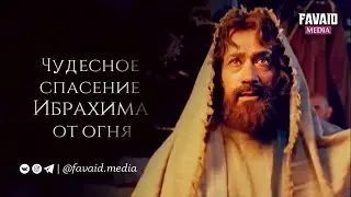 «Ибрахим - друг Аллаха» (мир ему). 