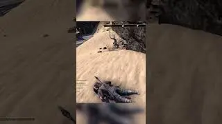 You can do some weird stuff in the Elder Scrolls Online