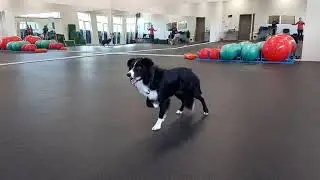 ларри и модельная походка