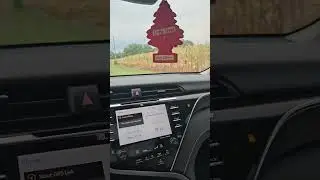 Burned Corn Crops in the South