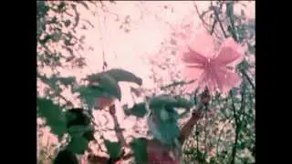 Captain Beefheart & His Magic Band - Abba Zaba