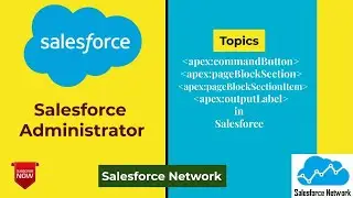 apex:commandButton, apex:pageBlockSection, apex:pageBlockSectionItem, apex:outputLabel Salesforce.