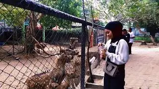 zoo date with ayang🤭, tugas UAS Teknologi Informasi_Nim(201210088)