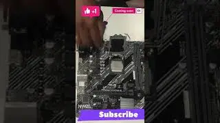 i5 10th Gen Processor install Asus prime | Networkgreen Live 