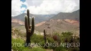 TILCARA ATRAPANTE