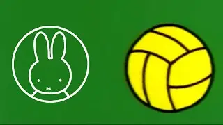 The sport book • Miffy Classics