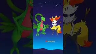 Grovyle vs All Midd Stage Starter Pokemon | Poke Cllipgs | #pokemon #shorts  #grovyle