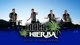 MALA HIERBA 🌿 Agrupación Los Capos