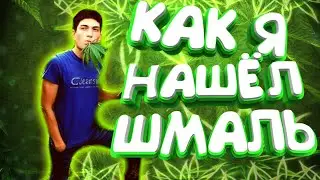 В ПОИСКАХ ШМАЛИ