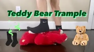 ✨Trampling Mr. Teddy Bear 🧸✨
