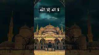 من قال لا إله إلا الله دخل الجنة #حديث_شريف #الجنة #اركان_الاسلام