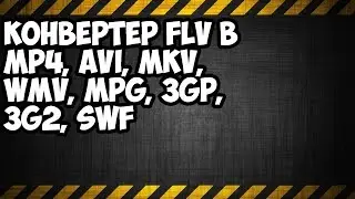 Конвертер FLV в MP4, AVI, MKV, WMV, MPG, 3GP, 3G2, SWF