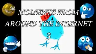 MOMENTS FROM AROUND THE INTERNET 3