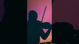 Dragostea din tei ( Violin live Cover )