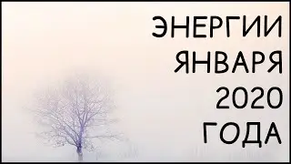 Ба Цзы прогноз январь 2020! На что обратить внимание!