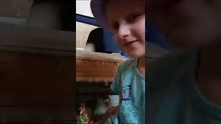 Курица-Квочка в отдельном загончике.