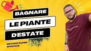 COME BAGNARE le piante in vaso d'ESTATE