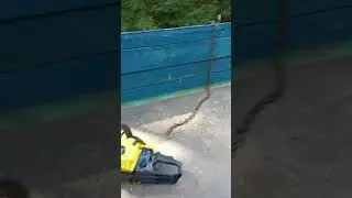 В лес за дровами // ч.2 