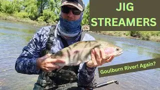 Jig Streamer Fly Fishing || EURO Jigging on the Goulburn River.