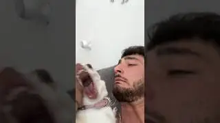 Niki almost bites me??????😫😫