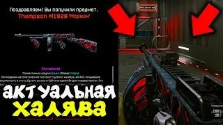 ВСЯ АКТУАЛЬНАЯ ХАЛЯВА В WARFACE 2020! ХАЛЯВА ДЛЯ ВЕТЕРАНОВ И НОВИЧКОВ ВАРФЕЙСА! ХАЛЯВА 2020!
