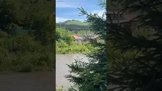 Алтай летом 