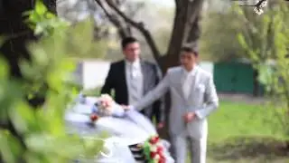 Пашка и Дашка. Свадебное утро.