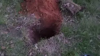 Deus 2 тест в грунте 5 коп Ек2.