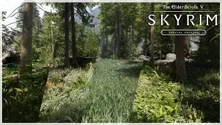 Comparing Skyrim's Best Grass Mods
