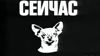 Заставки 