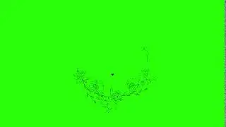 Circle Flower Ring Scale Up│Motion Graphic Transitions│Green Screen