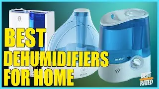 5 Best Humidifiers for Home [2021]