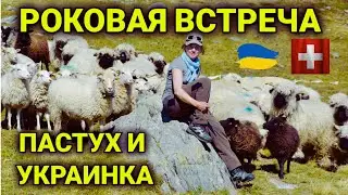 Работа Пастухом в горах Швейцарии | условия, оплата