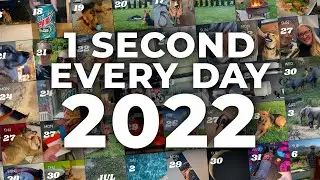 One Second Every Day 2022 (1SE) 
